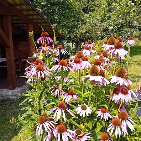 Czytelnia W Sadzie Villa Krzykawka Buitenkant foto