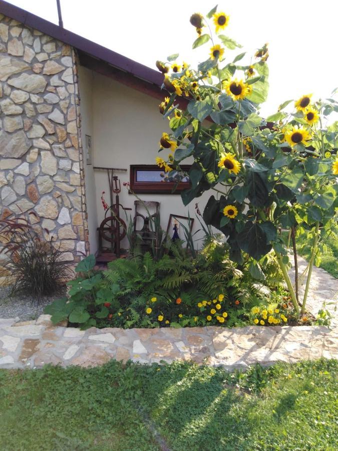 Czytelnia W Sadzie Villa Krzykawka Buitenkant foto