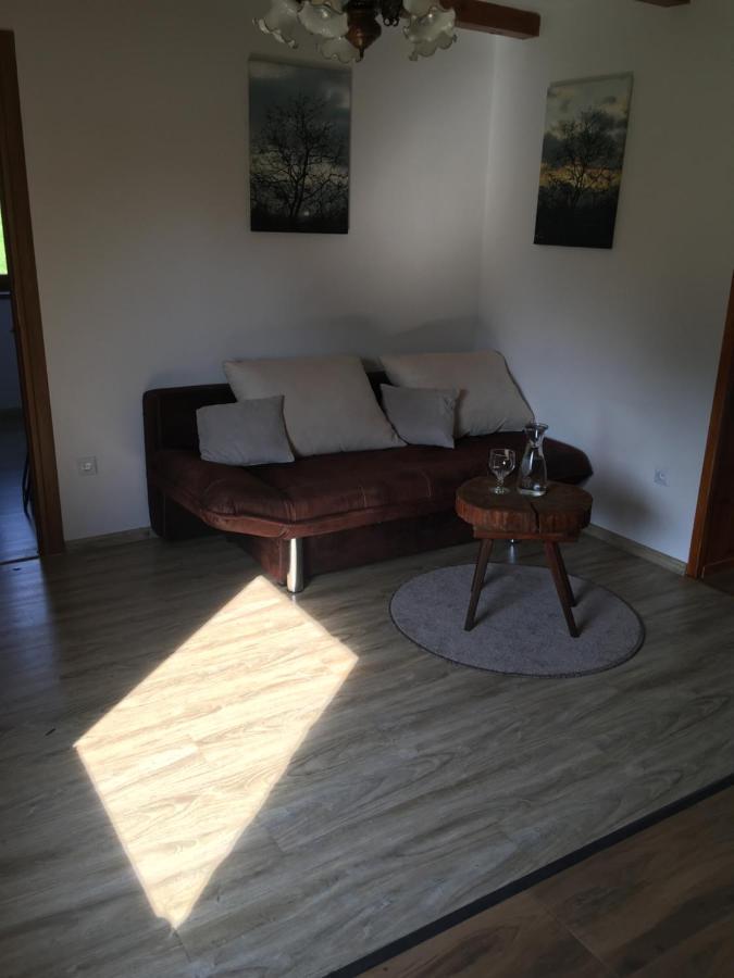 Czytelnia W Sadzie Villa Krzykawka Buitenkant foto