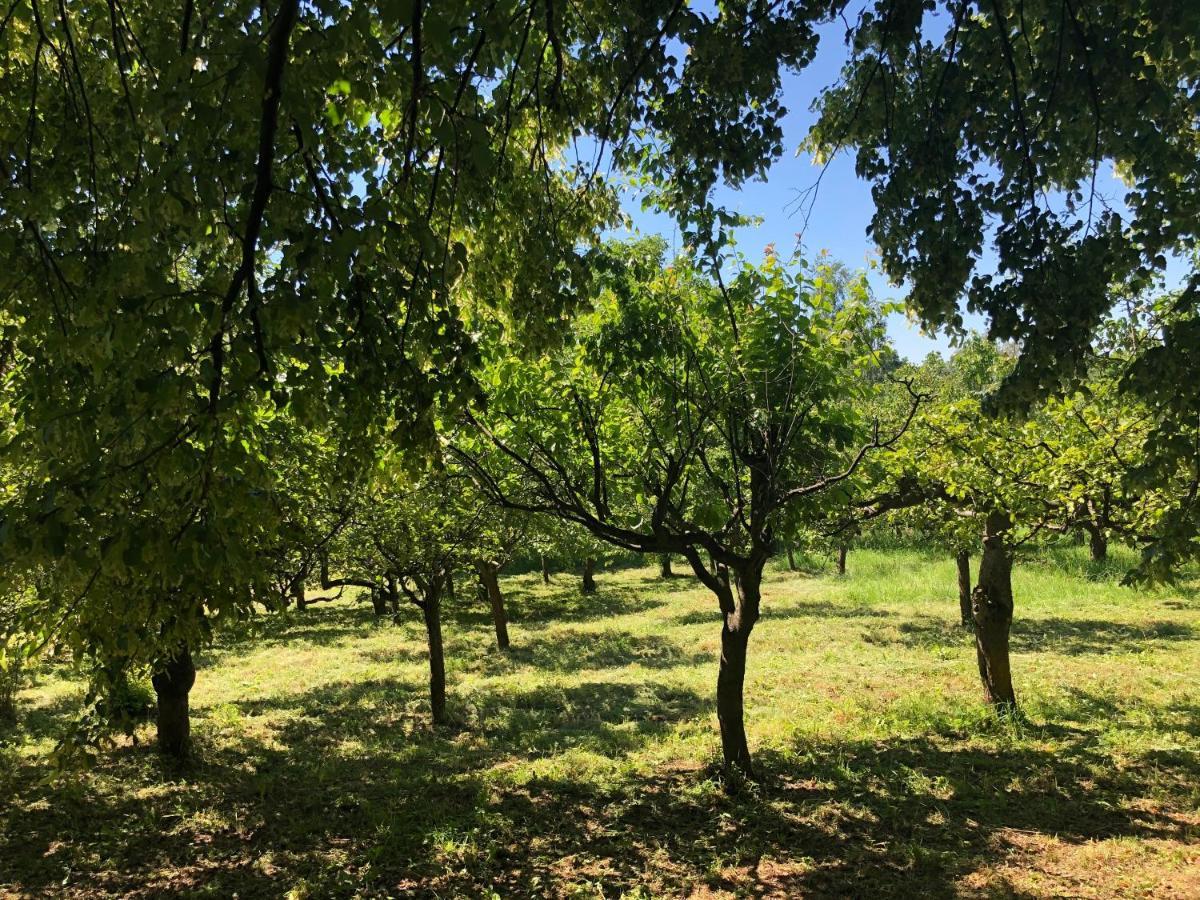 Czytelnia W Sadzie Villa Krzykawka Buitenkant foto