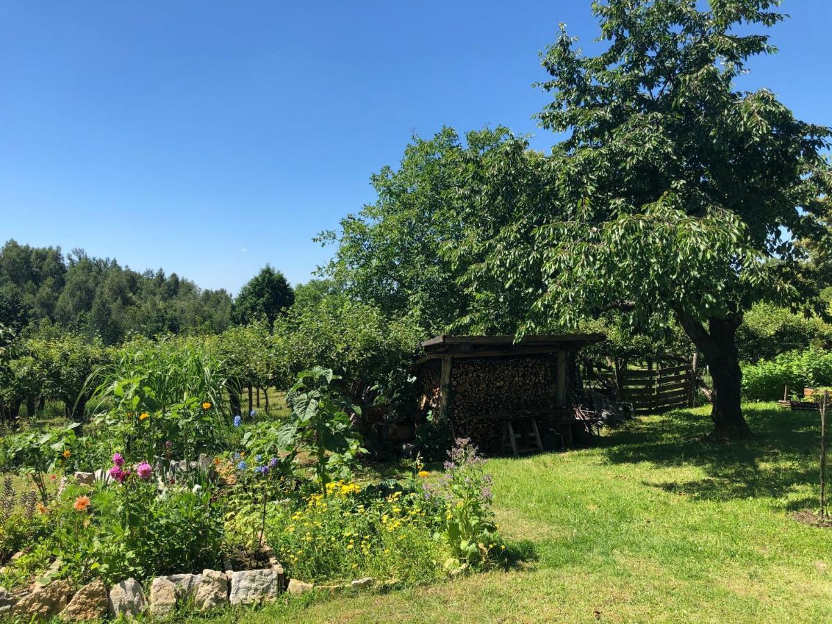 Czytelnia W Sadzie Villa Krzykawka Buitenkant foto