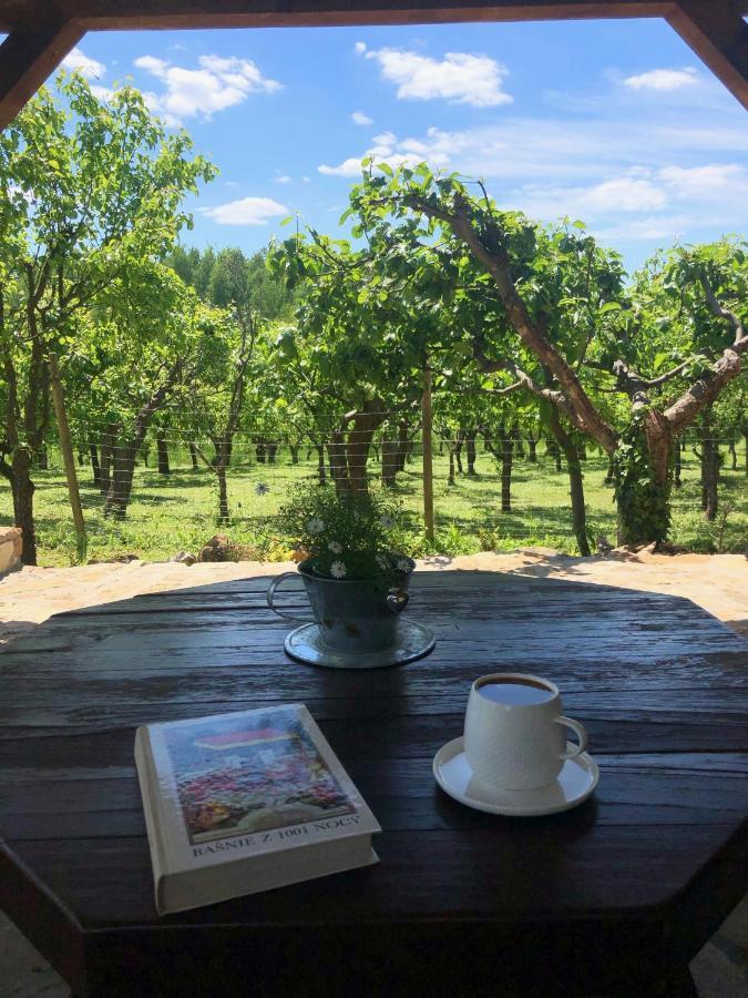Czytelnia W Sadzie Villa Krzykawka Buitenkant foto