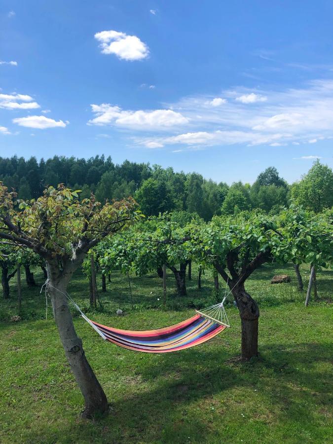Czytelnia W Sadzie Villa Krzykawka Buitenkant foto