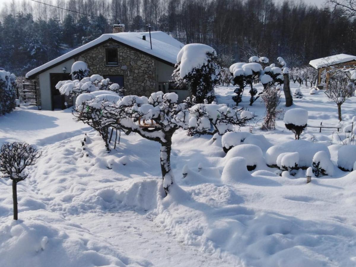Czytelnia W Sadzie Villa Krzykawka Buitenkant foto