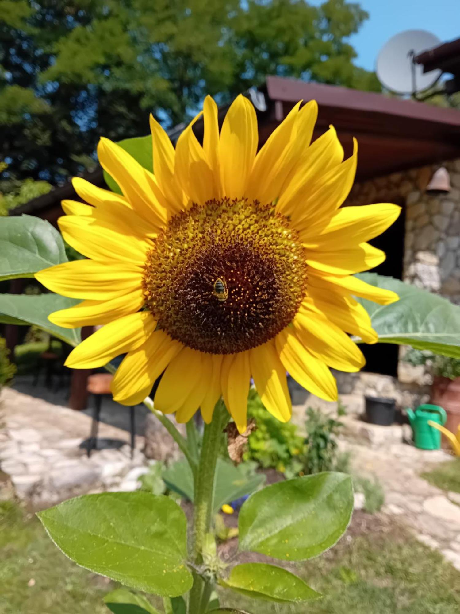 Czytelnia W Sadzie Villa Krzykawka Buitenkant foto